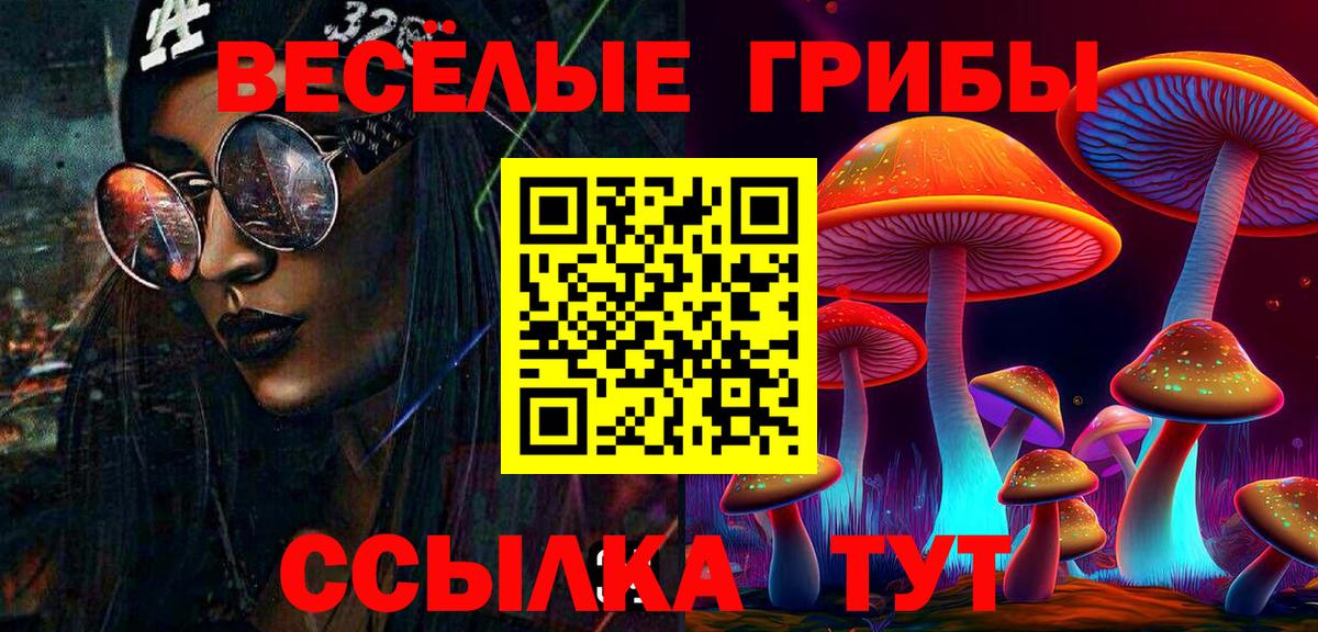 Псилоцибиновые грибы MAGIC MUSHROOMS  Вход с VPN  Осинники 